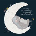 condoleancekaart met 2 beren op de maan